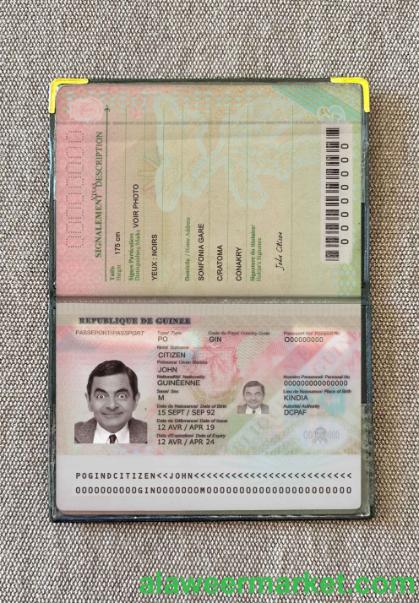 Guinea passport (2018-present) photo look